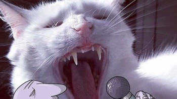 Kecelakaan ini membuatnya berpikir tentang impian seumur hidupnya. Sehingga ia memutuskan untuk berhenti kerja dan fokus menjadi seorang seniman. (Foto: Lucas Levitan)