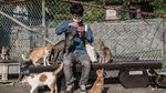 Berkunjung ke Pulau Kucing di Jepang