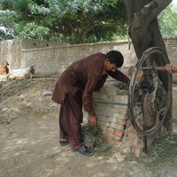 Sebelumnya ayah Uzma pernah menyangsikan anak perempuannya bekerja di bengkel. Namun melihat kegigihan sang putri, kini ia mendukung. Tidak diperlukan dalam lingkungan kami untuk wanita muda bekerja di bengkel, itu tidak baik tapi itu adalah minatnya. Dia sekarang bisa merangkai mesin dan bekerja dengan baik. Aku juga sangat senang, tutur sang ayah Muhammad Nawaz. Foto: AFP