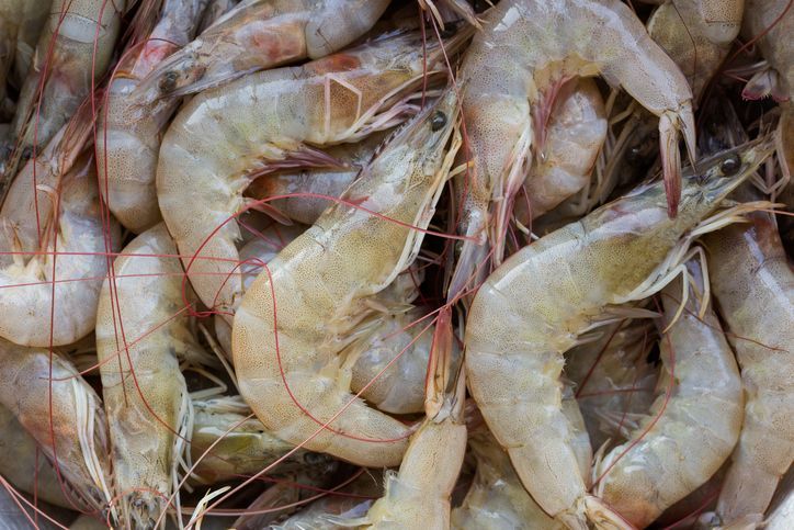 udang rebus