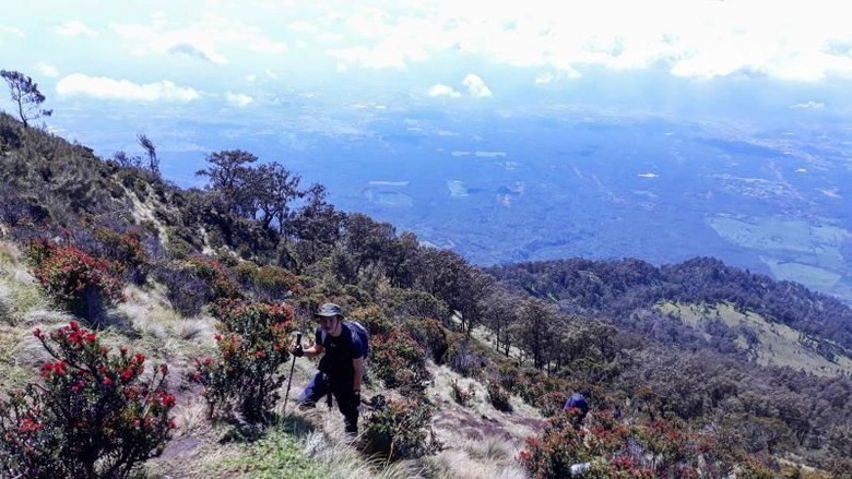 Unduh 950 Koleksi Gambar Gunung Arjuno Terbaik Gratis HD