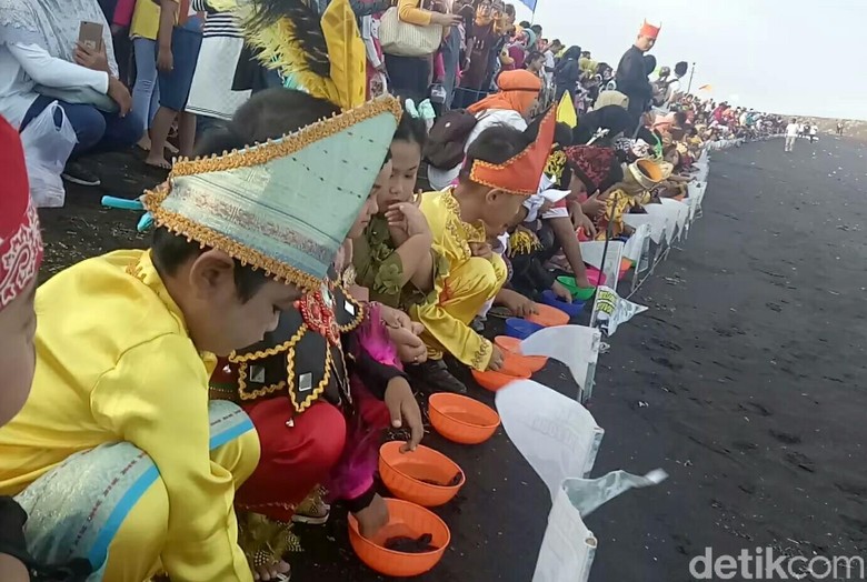 Lucunya Tingkah Anak-anak Banyuwangi Lepas Tukik di Hari Sumpah Pemuda Lucunya Tingkah Anak-anak Banyuwangi Lepas Tukik di Hari Sumpah Pemuda