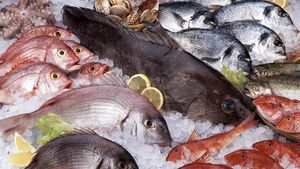 5 Tips Mudah Memilih Seafood Segar dari Penjual Seafood Legendaris
