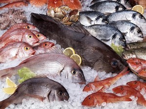 5 Tips Mudah Memilih Seafood Segar dari Penjual Seafood Legendaris