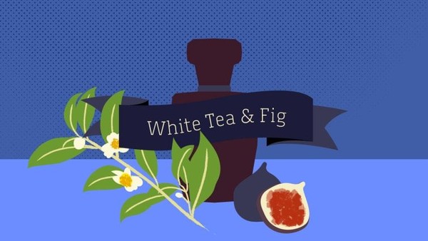 White Tea & Fig adalah wewangian paling populer untuk maskapai pelanggan Zodiac Aerospace di seluruh dunia. Zodiac juga merupakan pemasok utama toilet, kursi dan komponen interior untuk produsen pesawat dan maskapai penerbangan (Esa Matinvesi/CNN)