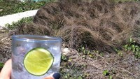 Pemilik senyum manis ini juga punya hobi traveling. Ini momennya ketika menikmati segelas minuman dingin di pinggir pantai. Keren banget pemandangannya! Foto: instagram @jenniferanelita