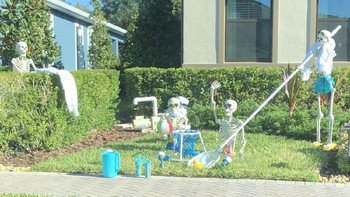 Tengkorak ini sedang mengadakan pool party, mau ikutan? Foto: Twitter @sami_grayce