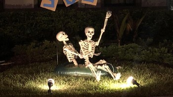 Kabar buruk! Tengkorak-tengkorak ini minta pertolongan! Foto: Twitter @sami_grayce