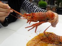 Miting Lobster: Puas Makan Kepiting Papua Jumbo Berdaging 