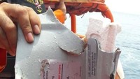 Salah satu bagian yang ditemukan. Foto: dok Basarnas