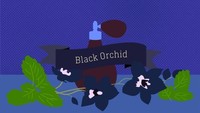 Black Orchid merupakan wewangian beraroma hijau subur dan mewah yang disukai pasar Asia Pasifik. Lemongrass & Vanilla Bean populer di Meksiko, Amerika Tengah dan Selatan (Esa Matinvesi/CNN)