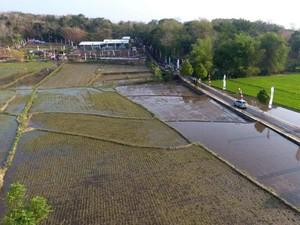 Lahan Kritis di Boyolali Disulap Pertamina Jadi Agrowisata