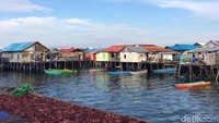 Kampung tersebut dikembangkan oleh PT Pupuk Kaltim melalui program Corporate Social Responsibility (CSR) untuk menjadi konservasi ekowisata tourism.