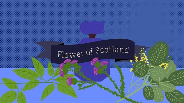 Eropa, Timur Tengah dan Afrika paling suka wewangian White Tea & Ginger. Namun aroma Flower of Scotland adalah yang paling populer kelima (Esa Matinvesi/CNN)