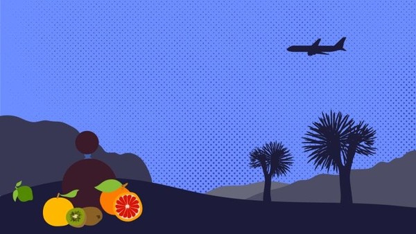 Maskapai-maskapai memanfaatkan peluang indera penciuman ini dan mulai menggunakan aroma di pesawat. Ada Singapore Airlines, All Nippon Airways, dan Turkish Airlines (Esa Matinvesi/CNN) Maskapai-maskapai memanfaatkan peluang indera penciuman ini dan mulai menggunakan aroma di pesawat. Ada Singapore Airlines, All Nippon Airways, dan Turkish Airlines (Esa Matinvesi/CNN)