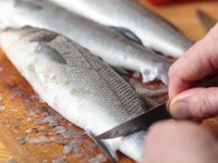 Ini Cara Bikin Ikan Bakar Sambal Andaliman yang Pedas Segar