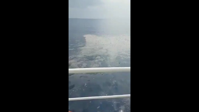 Begini Bentuk Serpihan Pesawat Lion Air JT 610 yang Jatuh Begini Bentuk Serpihan Pesawat Lion Air JT 610 yang Jatuh