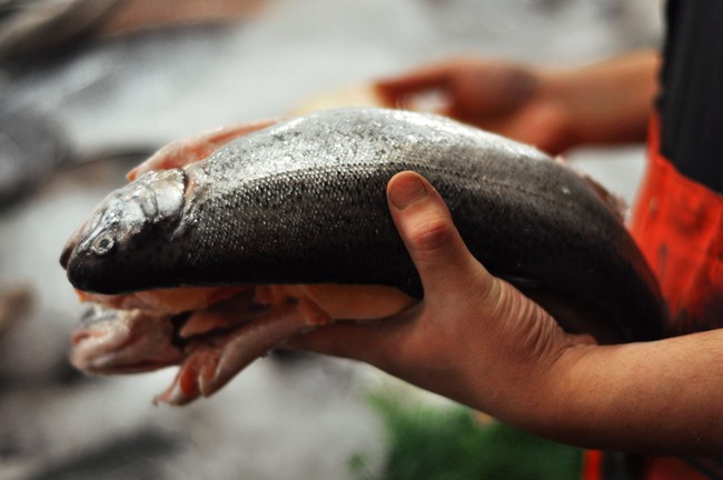 Sebelum Beli Ikan, Kenali 5 Tanda Penting Ikan Segar Ini