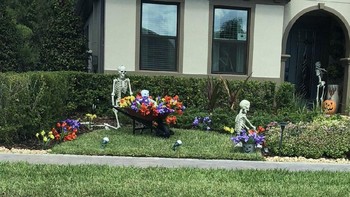 Punya halaman besar membuat tengkorak ini tak ingin menyia-nyiakannya untuk berkebun. Foto: Twitter @sami_grayce