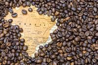 Pencinta Kopi, Ini 7 Kota di Dunia yang Punya Kopi Enak!