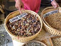 Pencinta Kopi, Ini 7 Kota di Dunia yang Punya Kopi Enak!