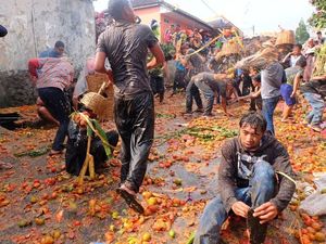 Keseruan Rempug Tarung Adu Tomat di Bandung Mirip Festival La Tomatina Spanyol