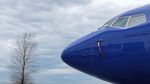 Foto: Maskapai Dunia yang Pakai Boeing 737 Max 8