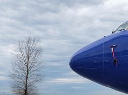 Potret Boeing 737 Max 8, Jenis Pesawat Lion Air JT 610