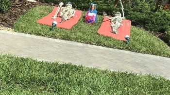 Seperti manusia saja, kali ini tengkorak tersebut didapati sedang berjemur. Foto: Twitter @sami_grayce