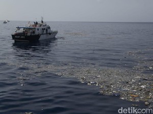 Menhub: Saksi Melihat Pesawat Turun ke Laut, Tak Dengar Ledakan
