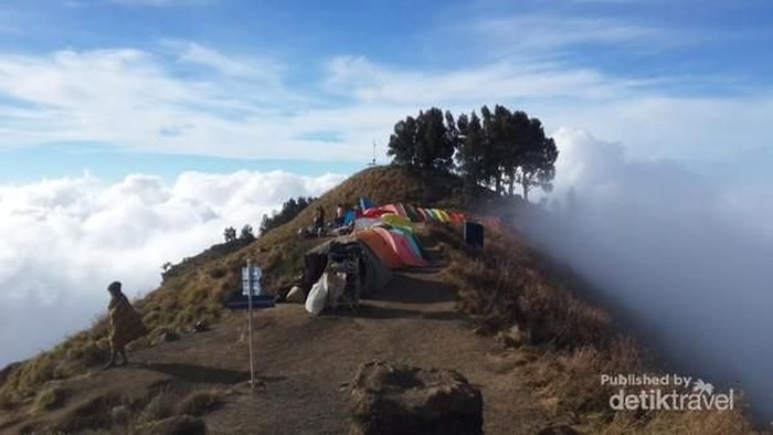 Plawangan Sembalun Gunung Rinjani