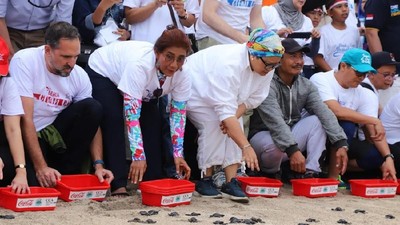 Momen Menteri Susi saat Lepas Anak Penyu di Bali