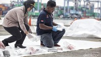 Dokumen yang sudah dikelompokkan itu akan dibawa ke RS Polri Kramat Jati.