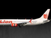Citilink Tunda Tarif Bagasi, Menhub Minta Lion Beri Diskon