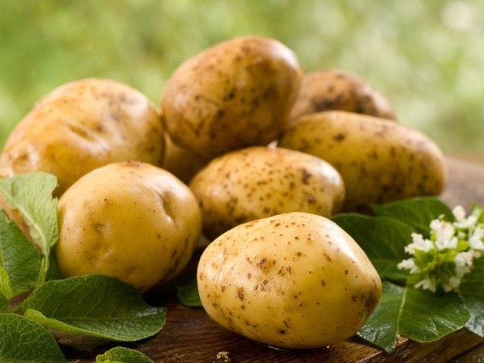 Foto: Istock Foto: Istock