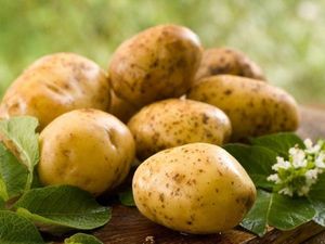 Apa Benar Diet Kentang Bisa Turunkan Berat Badan Lebih Cepat?