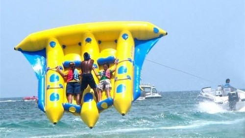 Flying Fish Tanjung Benoa