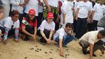 Momen Menteri Susi saat Lepas Anak Penyu di Bali