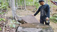 Menurut cerita Tasim, juru kunci Situs Geger Sunten, tempat ini dulunya tempat persembunyian Aki Balangantrang alias Bimaraksa saat menyembunyikan Ciung Wanara saat Kerajaan Galuh dikudeta oleh Barmawijaya. (Dadang/detikTravel)