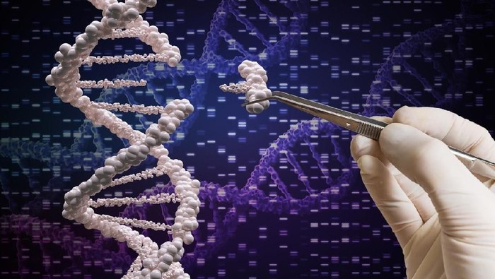 Tes DNA bisa memberi tahu banyak informasi tentang diri kita. (Foto: iStock) Tes DNA bisa memberi tahu banyak informasi tentang diri kita. (Foto: iStock)