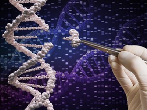 Keluarga Korban JT 610 Akan Lakukan Tes DNA, Bagaimana Cara Kerjanya?