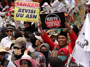 Tak Ada Formasi Khusus Buat Honorer di Seleksi CPNS 2019