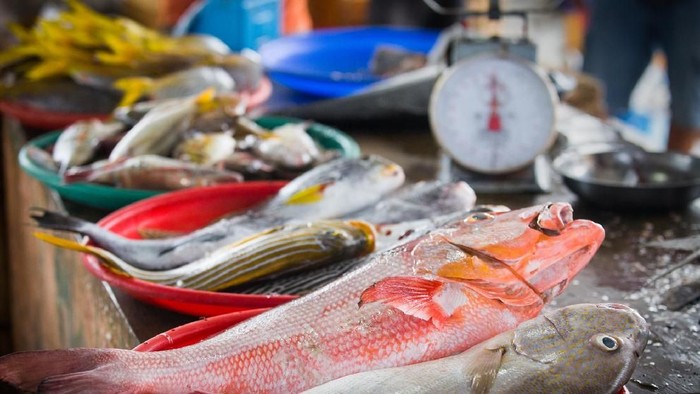 Pasar Ikan marché traditionnel vend des poissons frais à Djimbaran, Bali