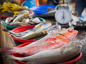 5 Tempat Ini Jadi Surga Berburu Seafood untuk Pesta Tahun Baru