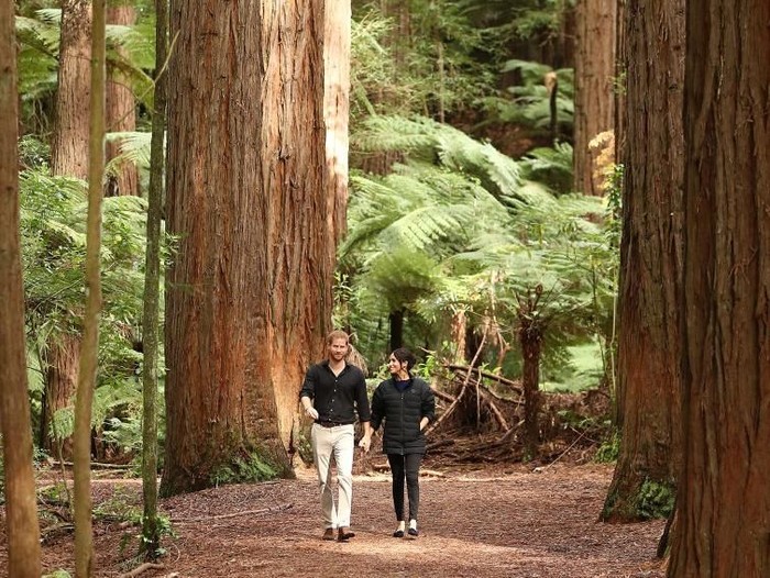 Gaya Meghan Markle Hiking