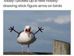 Lucunya Ular-ular Ini Jika Punya Tangan