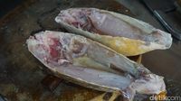 Kudu kudu Si Ikan  Khas Makassar yang Seram  tapi Berdaging 