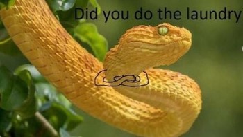  Wah kalau ini tetap serem sih. Seperti ibu kost yang menagih uang bulanan yang telat dibayarkan. Foto: Instagram/9GAG