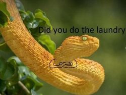 Lucunya Ular-ular Ini Jika Punya Tangan