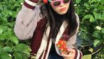 Manis Banget! Pose IU Saat Minum Teh dan Masak Pizza
